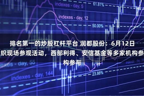排名第一的炒股杠杆平台 润都股份：6月12日组织现场参观活动，西部利得、安信基金等多家机构参与