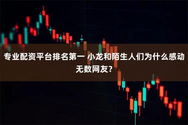 专业配资平台排名第一 小龙和陌生人们为什么感动无数网友？